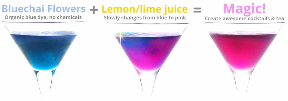 Blue Butterfly Color Changing Tea - Physique Tea