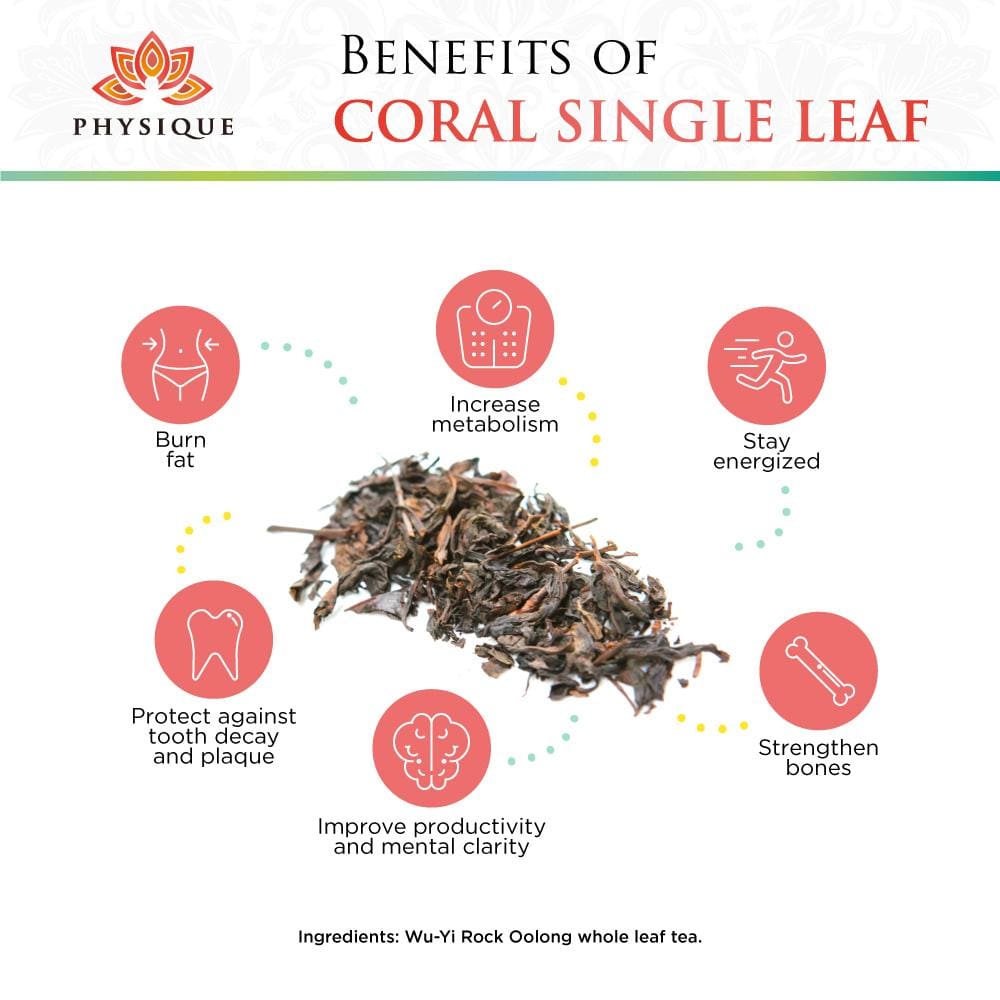 Coral Weight Loss and Focus Tea- Large - Physique Tea